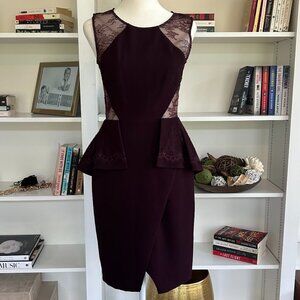 NWT BCBG Max Azria Whitley Dress